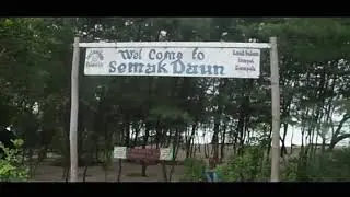 Semak Daun Island