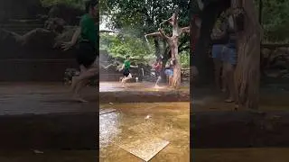 #shorts #short #shortvideo #youtubeshorts #2023
