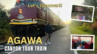 Day 4 | Crossing to Canada for the Epic Agawa Canyon Train Adventure #naimeshexplores