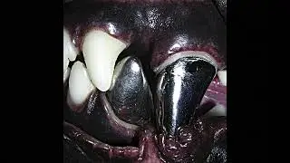 Silver Fangs (Prod. ​⁠DiedinOctober @wakeupmydear)