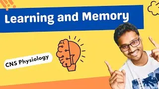 Learning and Memory