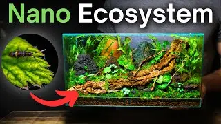 I Made a Forest Floor Terrarium, Here&rsquo;s How!