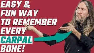 How to Remember Carpal Bones With These 8 Fun Mnemonics