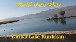دریاچه زریبار کردستان — Zaribar Lake Kurdistan — Lac Zaribar Kurdistan