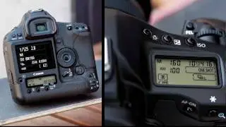 Canon EOS 1D Mark IV - Camera Display Settings and Display Function Settings 5/13