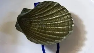 Hay que nacer del agua