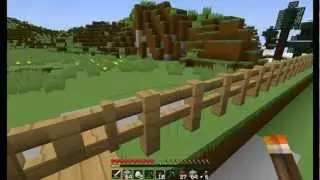 Minecraft Survival 