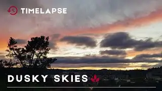 Peaceful Evening Over San Francisco Bay Area