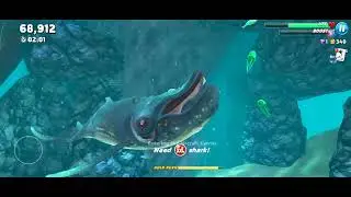 Gary  Whitetip Reef Shark's Skin Review & Gameplay Hungry Shark World