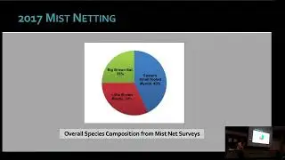 Eastern Small Footed Myotis Roosting Habitat on the Niagara Escarpment (Christy Humphrey) - OBN 2023