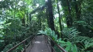 4K video: Penang, Malaysia May 2017