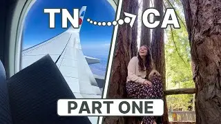 I flew from Tennessee to California for a Christian Writers Conference in the Redwoods