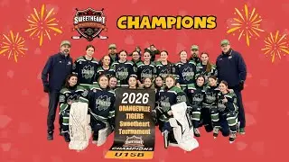 Jan 25/26 - Championship Game U15B Jr Lakers vs Mount Forest Rams