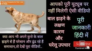 Dog Hair Fall Problem/How To Stop Dog Hair Fall/Dog Hair loss Treatment Home Remedies