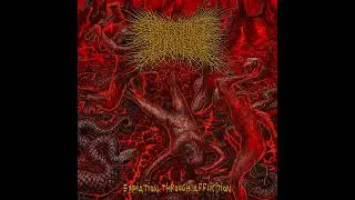 Ingesting Purulence - Expiation Through Affliction (Full Album)