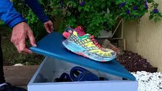 shoegrip2