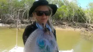Catching Fingermark, Fishing Townsville Heatwave!
