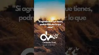 #psicologia #amor #crecimientopersonal #frases #reflexion #amorpropio #ejecafetero