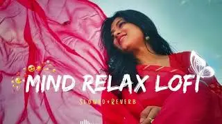 Dil Mera Tod Gayi | Sad Lo-Fi Hindi Song | Heart Touching Lyrics💔