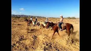 Contact Wild Horse Pass Hotel and Casino