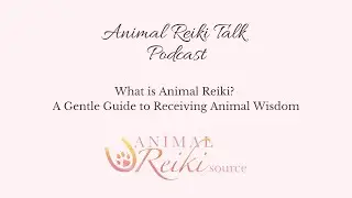 What is Animal Reiki? A Gentle Guide to Receiving Animal Wisdom