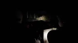 WALES - Afon Biga-Cwmbiga (Assetto Corsa Rally)