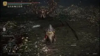 Dual Wield Hoslow's Whips VS Malenia