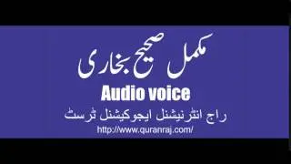 Sahih Bukhari Hadees No 3986