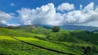 Munnar in One Day | Complete Travel Experience#MunnarTrip#KeralaTourism #TravelVlog#Explore #India