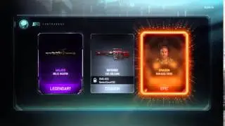 Bo3 Malice (common supply drop)