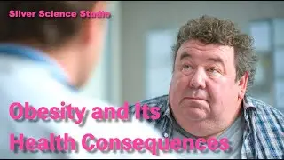 Obesity and Its Health Consequences | Everything You Need to Know Based on Latest Research