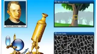 Introduction of cell-Discovery of cell