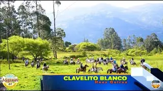 Clavelito Blanco - Hnos. Quiroz - Huaynito del Recuerdo