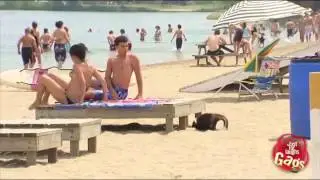 Skunk on the beach prank   Just For Laughs Gags