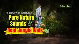 Walking in the Jungle 🌲 | Raw Nature Peace Sounds (Unedited Real Experience)
