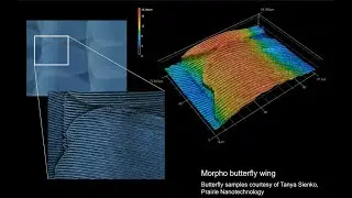 3D Optical Profilometry - Soares  and Walsh - MRL 05072020
