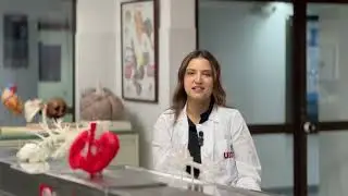 Modelos anatómicos con impresión 3D