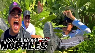 Nunca espere que mi propio team me aventara a los Nopales!!| PEÑITA