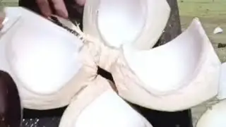 Delicious fruit coconut and healthy drink water / coconut cutting style