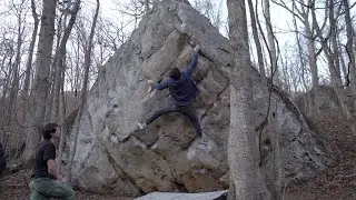 T-Wall Gold - V7
