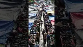 Wild Meat Market Chaos &ndash; Inside Asia&rsquo;s Exotic Animal Trade@streetflavor-ai