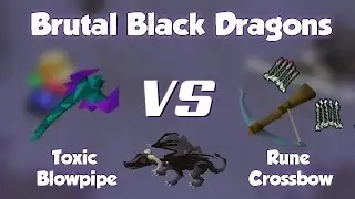 Blowpipe or Crossbow for Brutal Black Dragons? OSRS Brutal Black Dragon gear setup