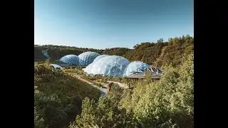 Walking through Eden