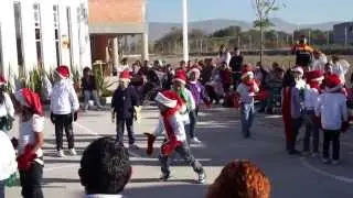 Baile de navidad peces en el rio