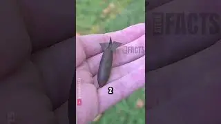 Najmniejsza bomba na świecie, kt&oacute;ra nawet nie wybucha 😱💣