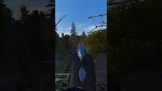 Snork in Stalker Anomaly #shorts #stalker2 #stalker #anomaly