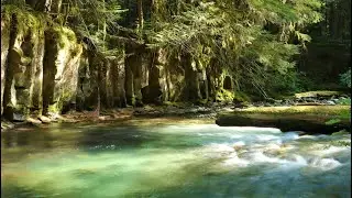 432Hz * Beautiful Handpan Music with Calming Nature Scenes and Sounds