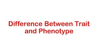 Difference between Trait and Phenotype