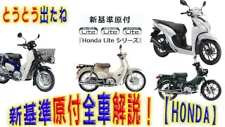 【速報】新基準原付で新型カブ‼全車解説【最高】