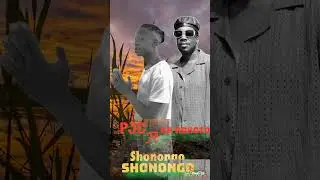 PJC feature Mr KOKOTO _Shonongo official audio #zedmusic 